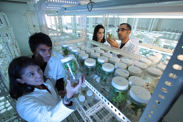 叔胺聚氨酯催化劑BL-17在制備高回彈、高彈性聚氨酯軟泡中的應用與性能研究